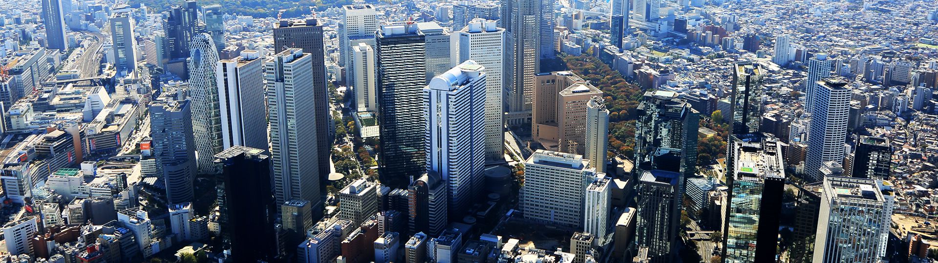 株式会社ランデックス